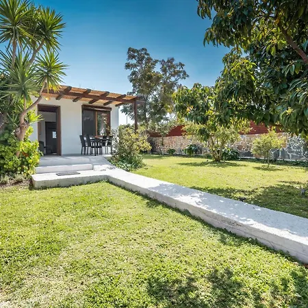 Ily's House * Pastida